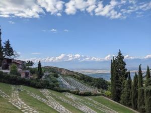 2 days trip to Kakheti - amazing wine tour from Tbilisi