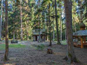 Forest-in-brojomi-Borjomi-vardzia-tour-from-Tbilisi