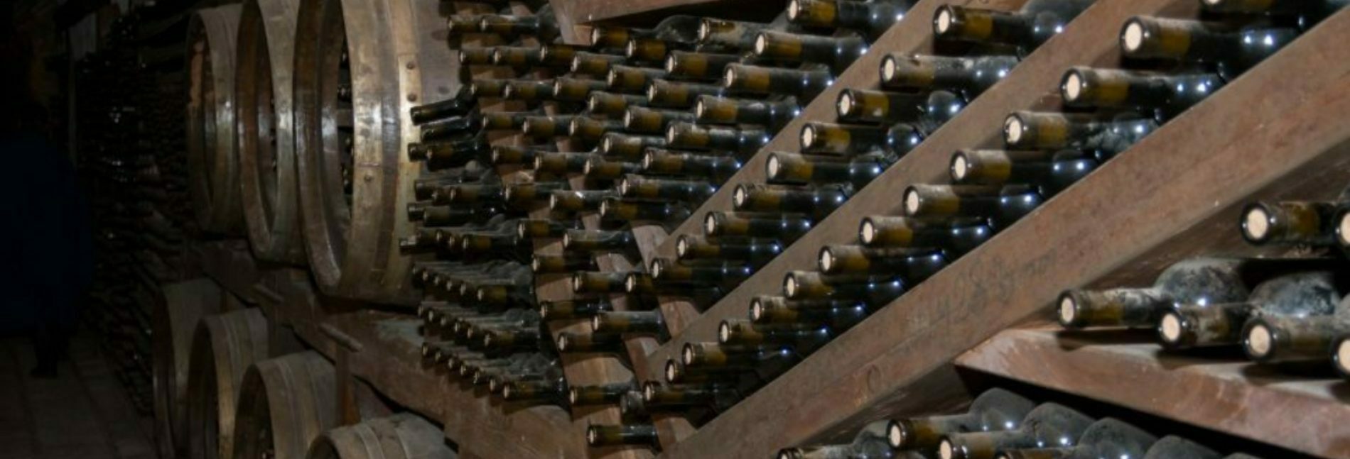 Винный тур по Кахетии с группой из Тбилиси