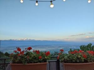 Kusika-restourant-in-Sighnaghi-Sighnaghi-tour-_signagi-tour-from-Tbilisi